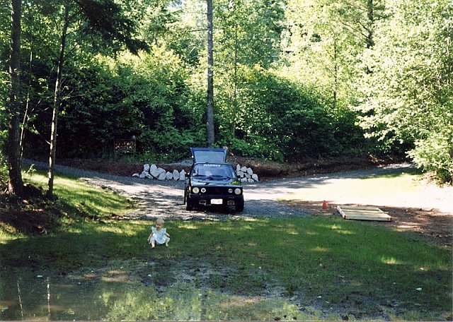 rabbit30
