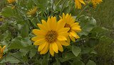 Apr 20, 2017