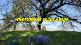 Apr 17, 2021